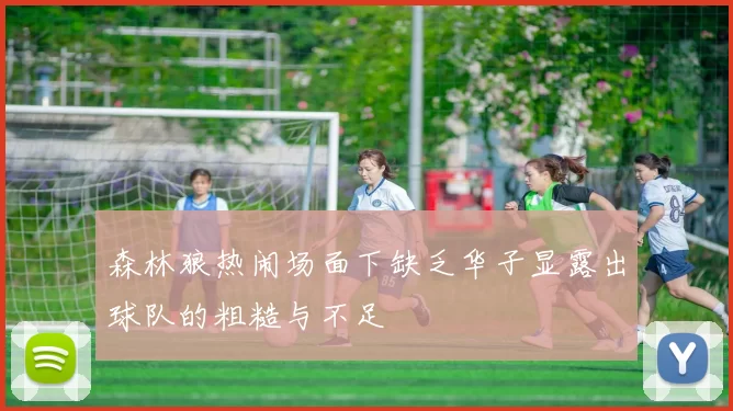 森林狼热闹场面下缺乏华子显露出球队的粗糙与不足